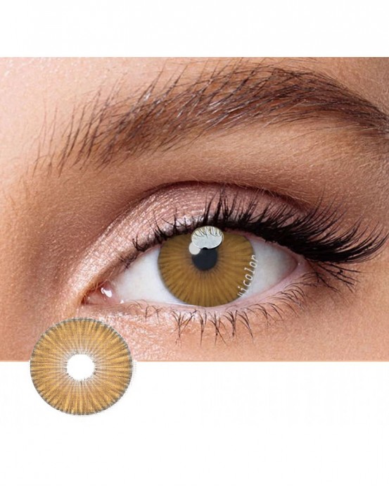 New York Brown Dark Color Contact Lenses